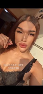 Транс Алматы Транс№134330 Доминика Фотография №3742946